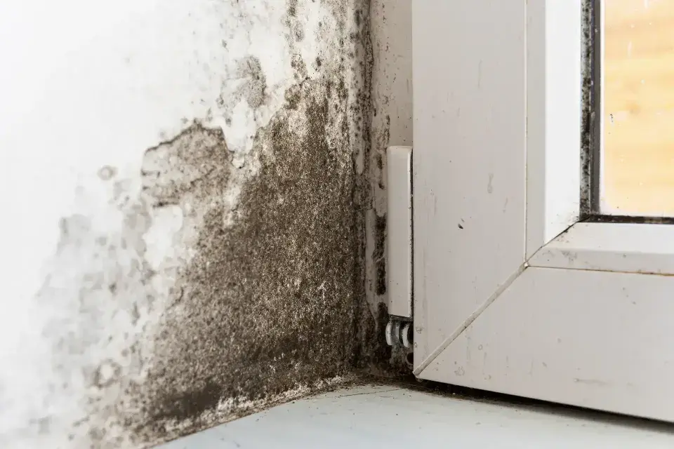 Water Damage in Windsor, VA